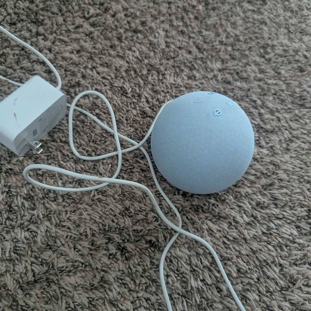 Amazon Echo Dot in Light Gray with Adapter
